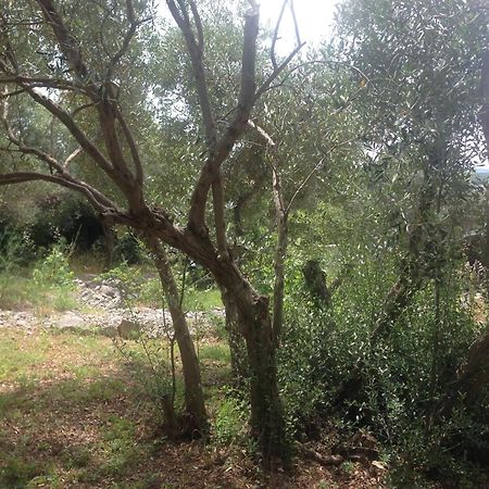 Lili Apartments, Sv Dunata 18 Kornić Esterno foto