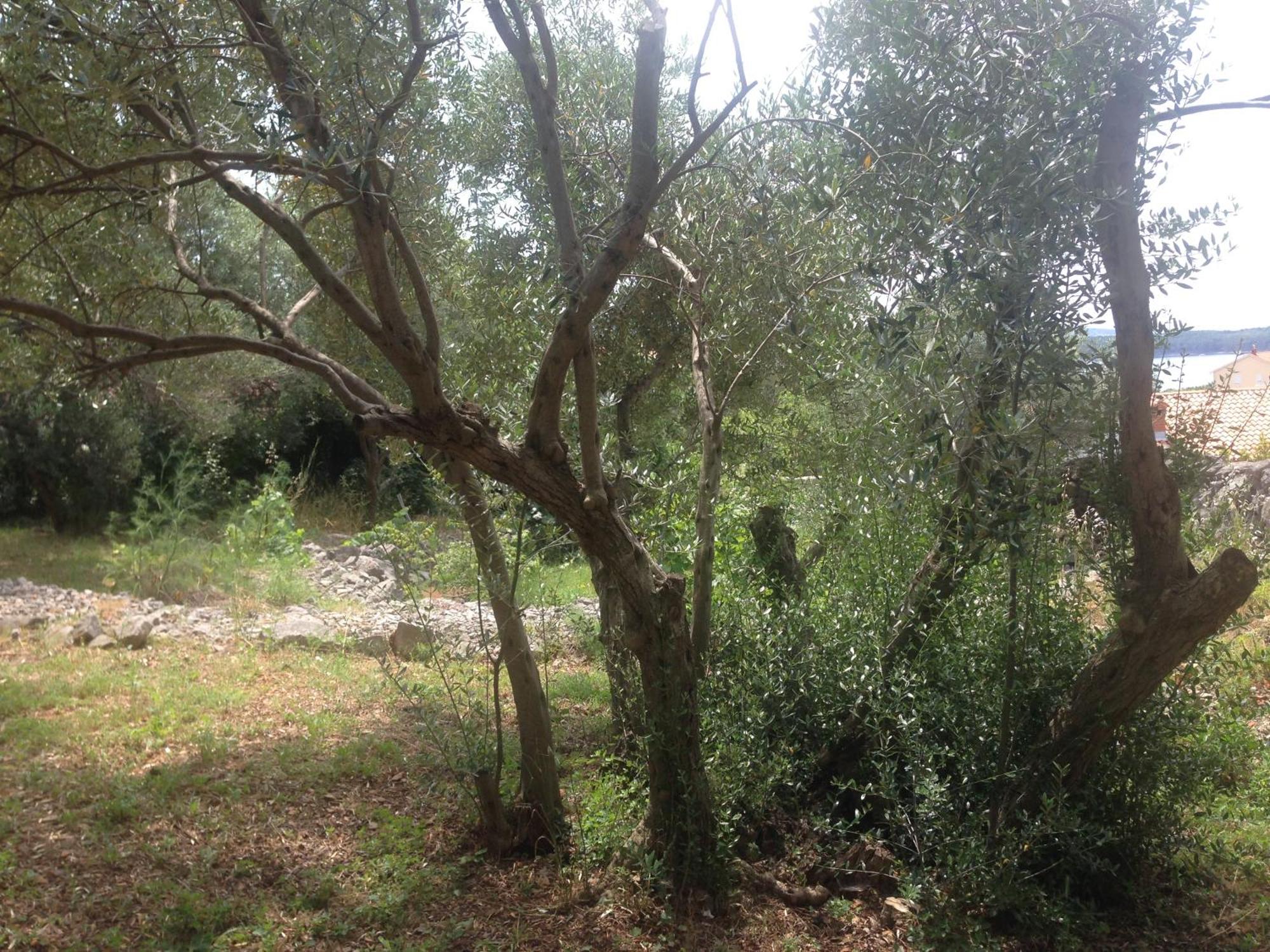 Lili Apartments, Sv Dunata 18 Kornić Esterno foto
